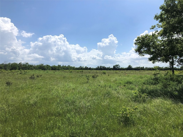 Listing photo 2 for TBD County Road 182, Raywood TX 77582