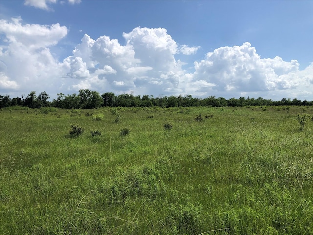 TBD County Road 182, Raywood TX, 77582 land for sale