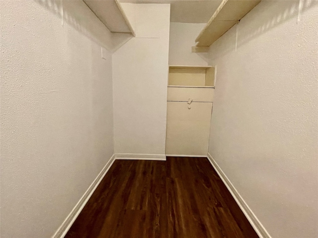 spacious closet featuring dark hardwood / wood-style floors