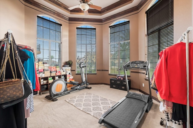 exercise area with ceiling fan, ornamental molding, and carpet flooring