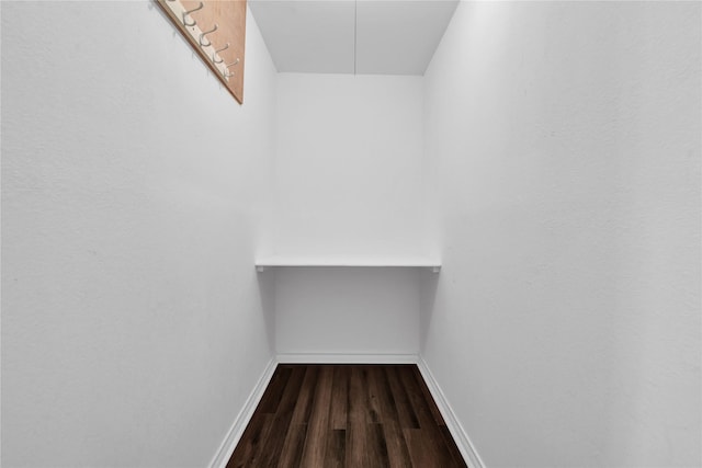 walk in closet with hardwood / wood-style flooring