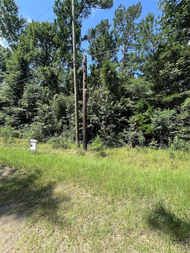 TBD Hideaway Dr, Trinity, TX 75862 - photo 4