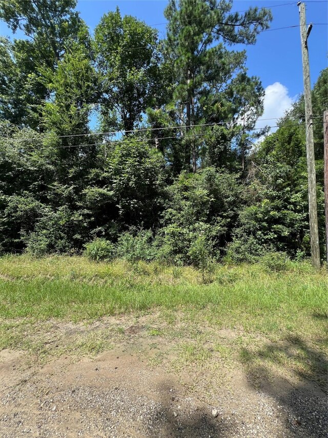 TBD Hideaway Dr, Trinity, TX 75862 - photo 1