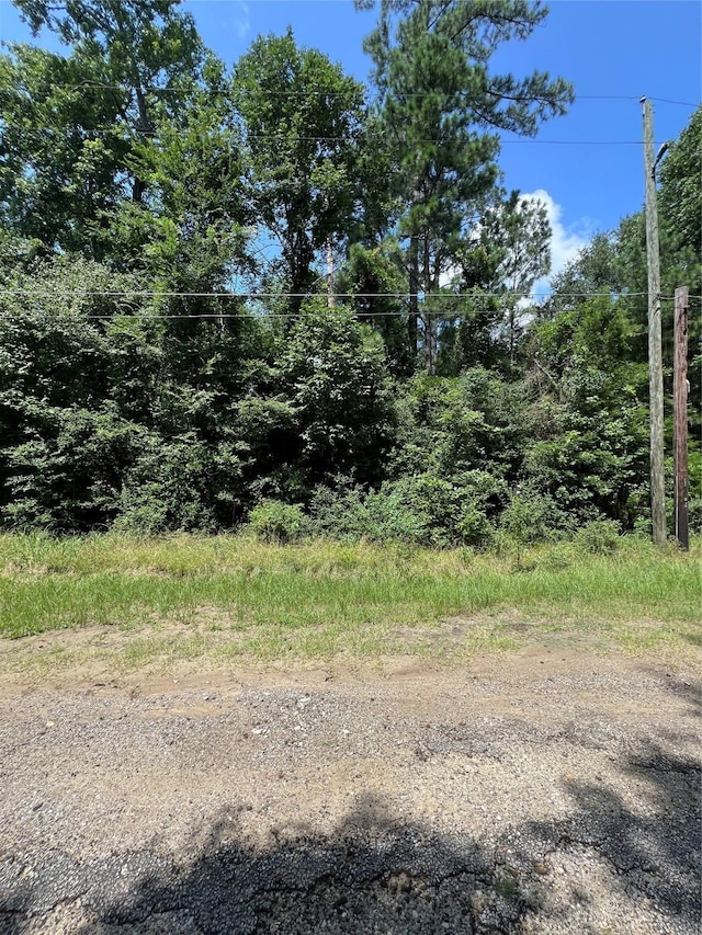 TBD Hideaway Dr, Trinity, TX 75862 - photo 6