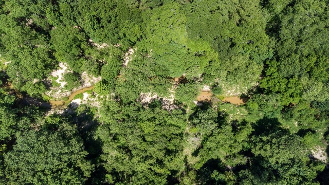 0 Sundog Rd, Huntsville, TX 77340 - photo 4