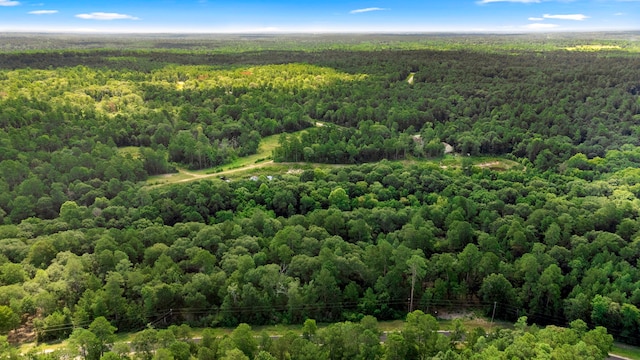 0 Sundog Rd, Huntsville, TX 77340 - photo 5