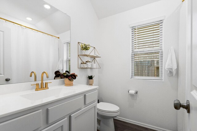 bathroom featuring hardwood / wood-style floors, plenty of natural light, vanity, and toilet