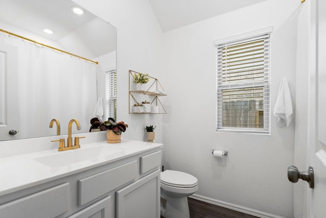 bathroom featuring hardwood / wood-style flooring, vanity, and toilet