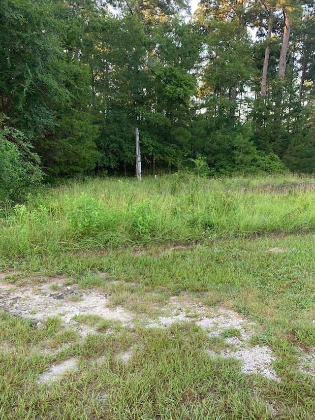 4 Fishermans Trl, Huntsville, TX 77320