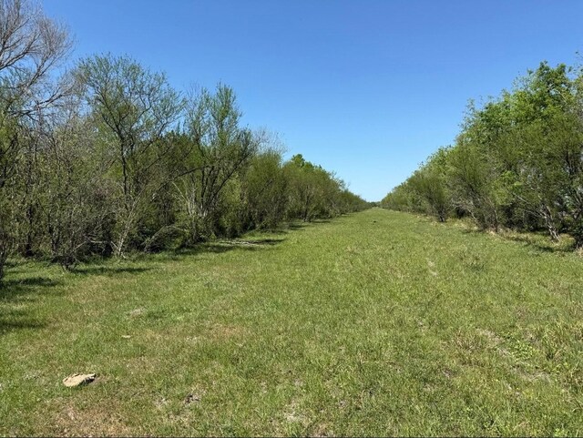 10542 Walker Rd, Beasley, TX 77417 - photo 6