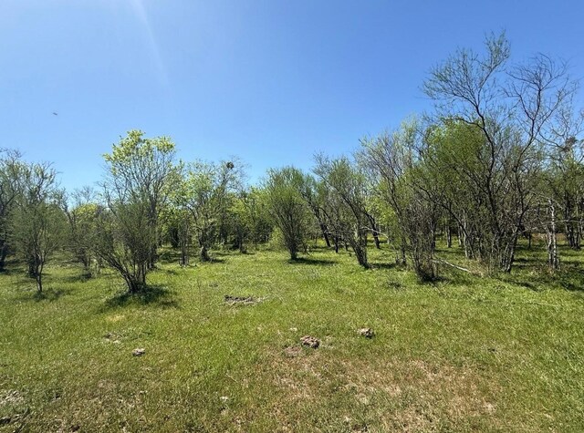 10542 Walker Rd, Beasley, TX 77417 - photo 7