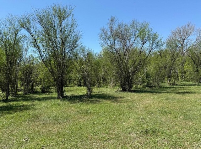 10542 Walker Rd, Beasley, TX 77417 - photo 8