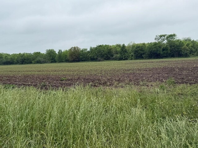 10542 Walker Rd, Beasley, TX 77417 - photo 4