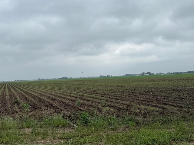 10542 Walker Rd, Beasley, TX 77417 - photo 5