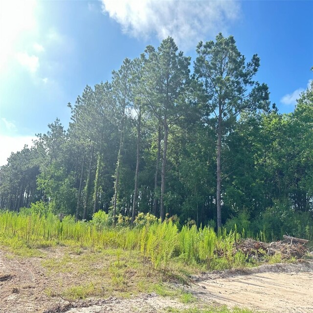 5913 14 3290, Cleveland, TX 77327