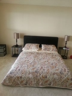 view of carpeted bedroom