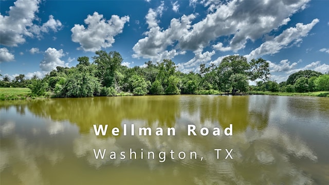 0 Wellman Rd, Washington TX, 77880 land for sale