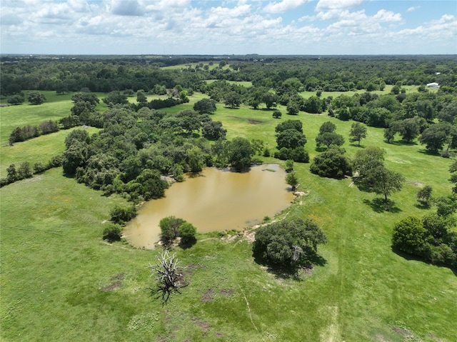 0 Wellman Rd, Washington, TX 77880 - photo 2