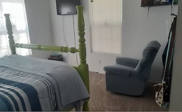 bedroom featuring carpet flooring