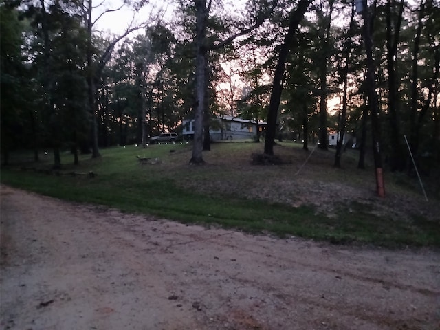 view of yard at dusk