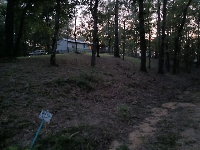 view of yard at dusk