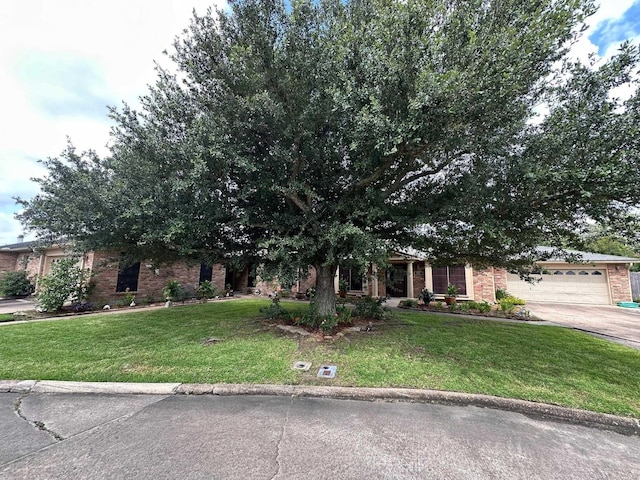 view of property hidden behind natural elements with a garage and a front lawn