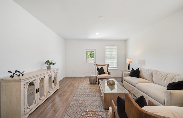 living room with wood-type flooring