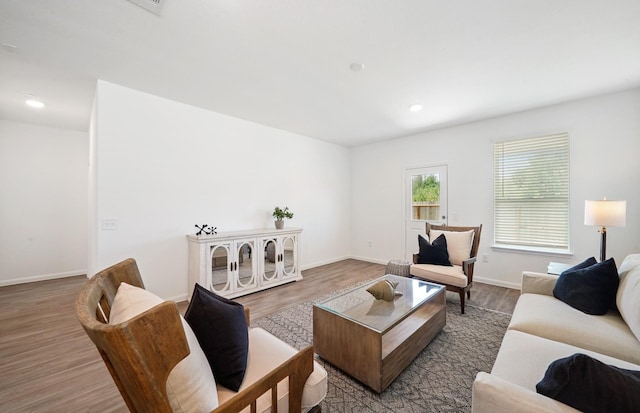 living room with wood-type flooring