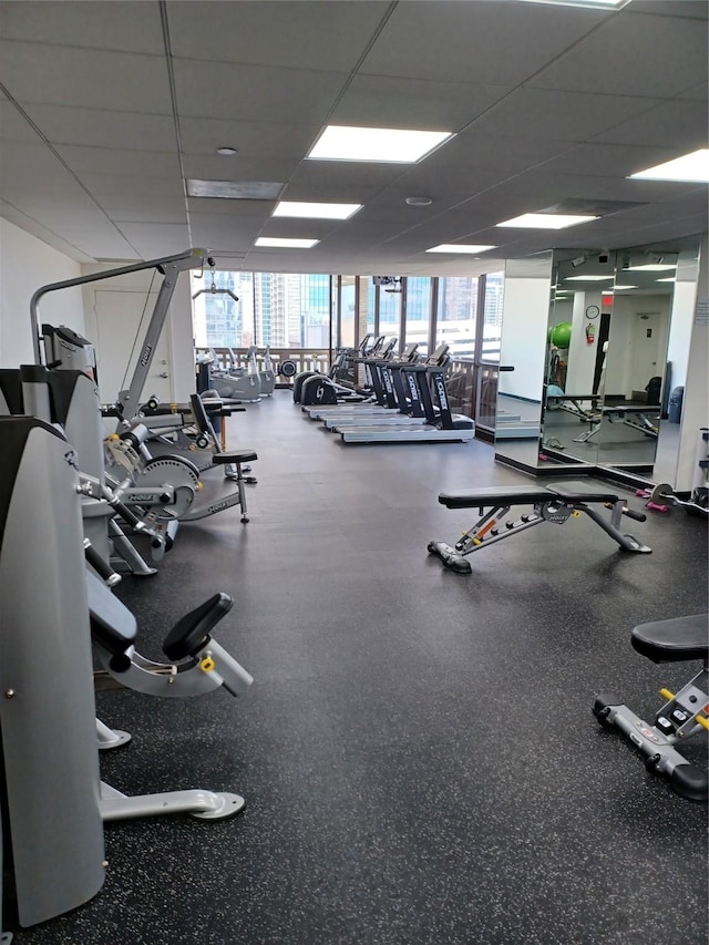 workout area featuring a paneled ceiling and expansive windows