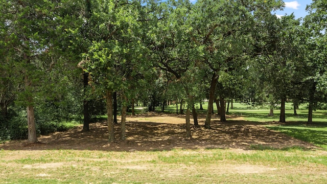 TBD N Falls Dr, New Ulm TX, 78950 land for sale