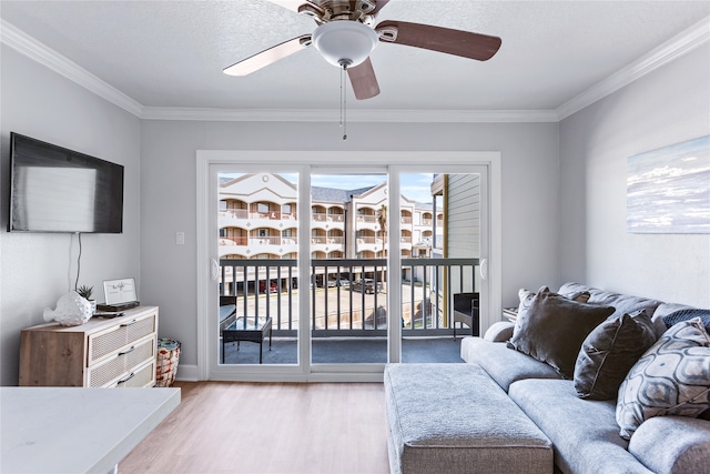 living room featuring ceiling fan, light wood-type flooring, and crown molding