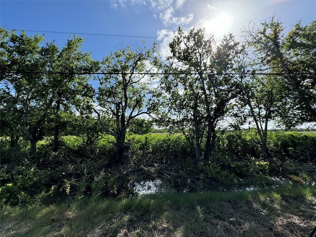 TBD County Road 211, Danbury, TX 77534 - photo 18
