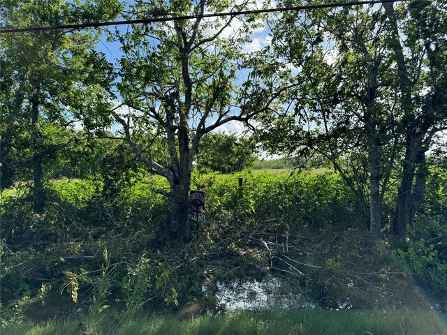 TBD County Road 211, Danbury, TX 77534 - photo 19
