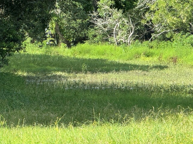 TBD County Road 211, Danbury, TX 77534 - photo 24