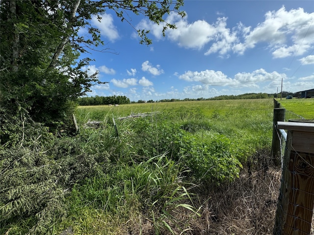 Listing photo 2 for TBD County Road 211, Danbury TX 77534