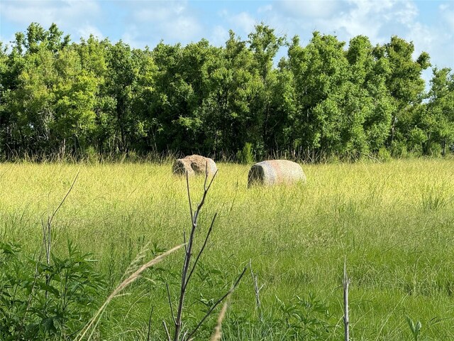 TBD County Road 211, Danbury, TX 77534 - photo 3