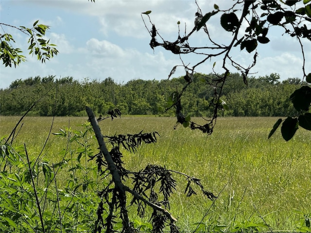 TBD County Road 211, Danbury, TX 77534 - photo 9