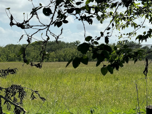 TBD County Road 211, Danbury, TX 77534 - photo 10