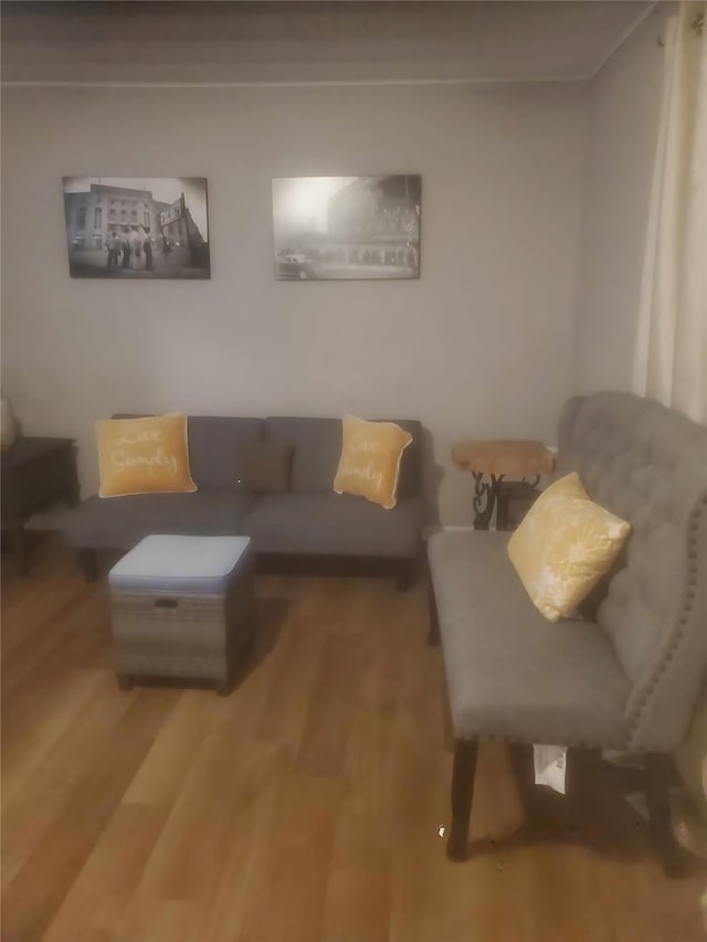 living room with hardwood / wood-style floors