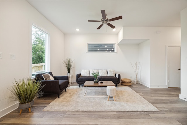 living room with wood-type flooring and ceiling fan