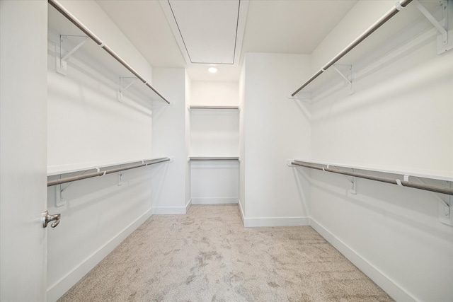 walk in closet with light colored carpet