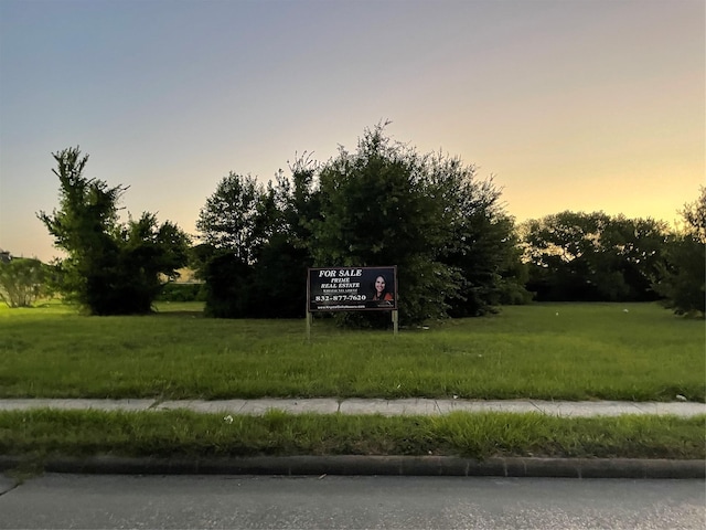 TBD Homestead Rd, Houston, TX 77016 - photo 4