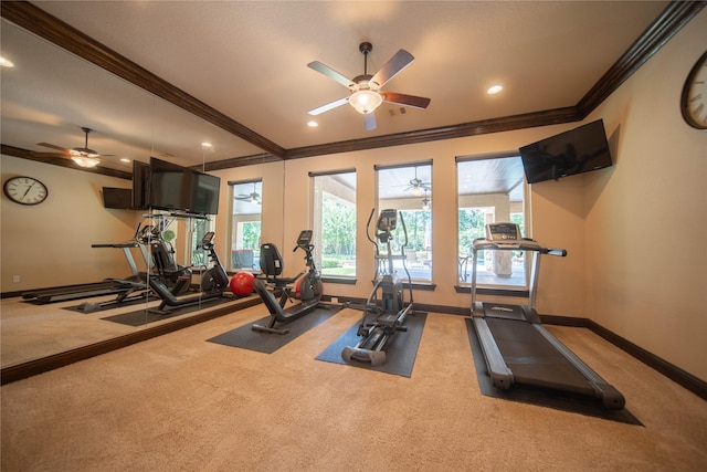 exercise room with ceiling fan, carpet, and ornamental molding