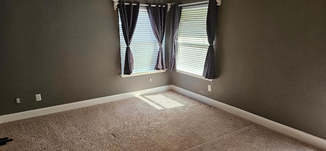 spare room featuring carpet