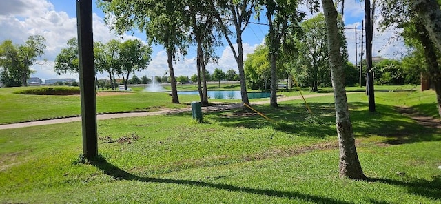 view of property's community with a water view and a yard