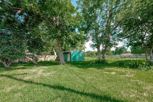 view of yard with a storage shed