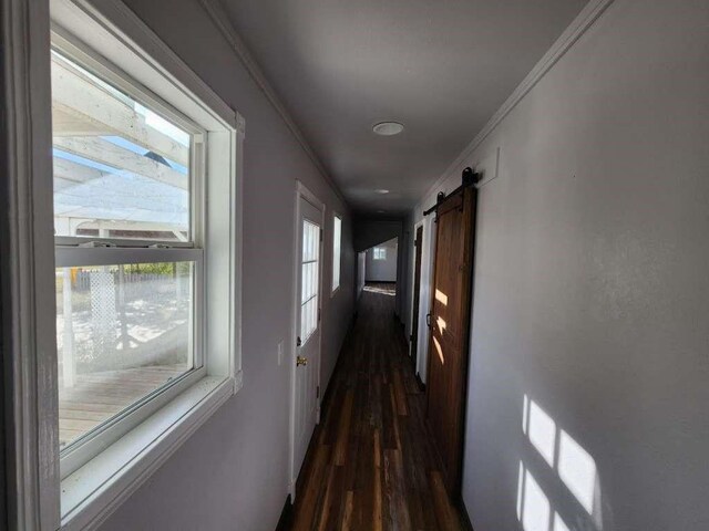 corridor with dark hardwood / wood-style floors, ornamental molding, and a barn door