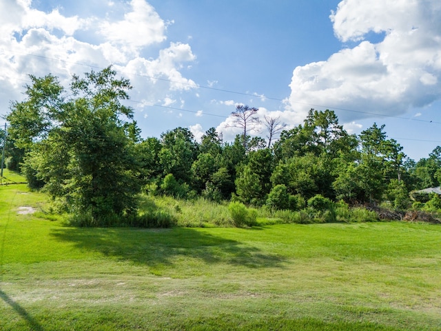 Listing photo 2 for TBD Creeklake Dr, Onalaska TX 77360