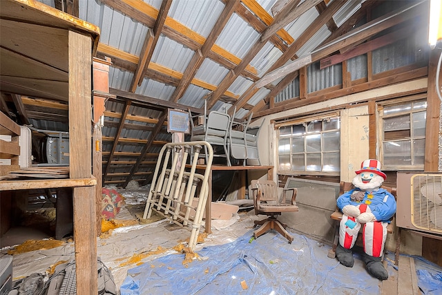 miscellaneous room featuring vaulted ceiling