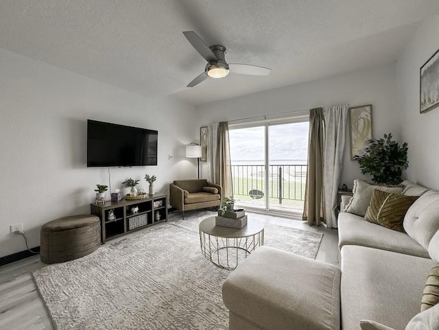 living room with ceiling fan, light hardwood / wood-style floors, and a textured ceiling